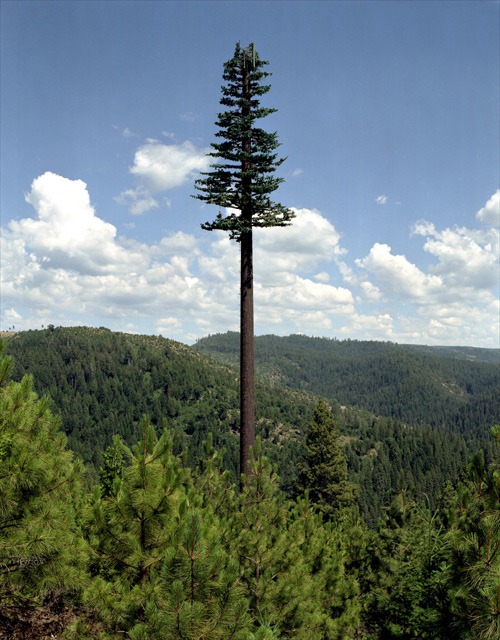 Camouflaged tower